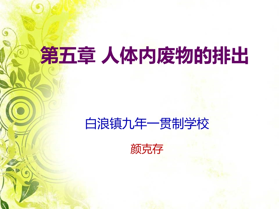 第一节尿的形成和排出.ppt_第1页