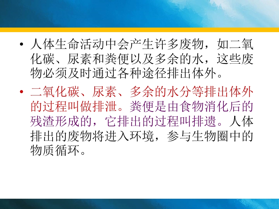 第一节尿的形成和排出.ppt_第2页