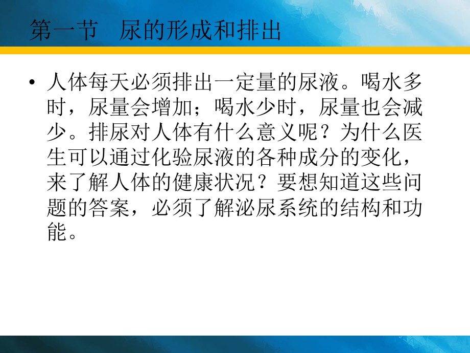 第一节尿的形成和排出.ppt_第3页