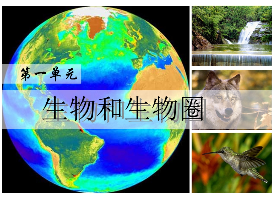 生物上册第一节生物圈课件人教新课标版.ppt_第1页