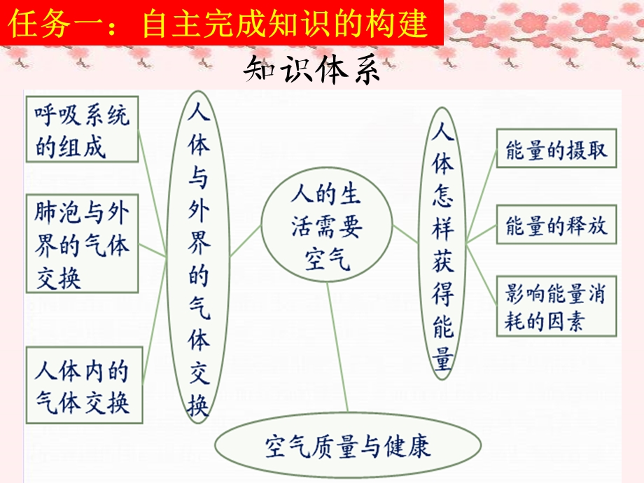 生物下册第二章人的生活需要空气复习课课件济南版.ppt_第3页