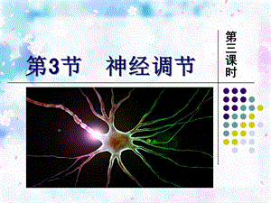 浙教版八年级上册科学第三章课件-3.3神经调节.ppt