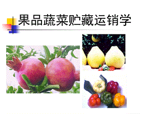 果品蔬菜贮藏运销学.ppt