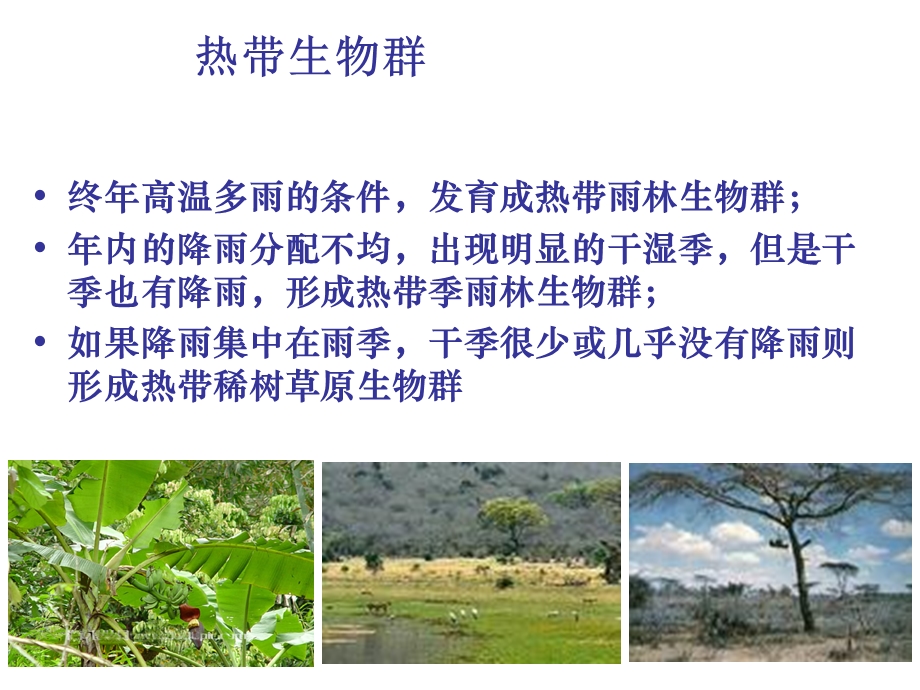 生物地理学热带生物群.ppt_第2页