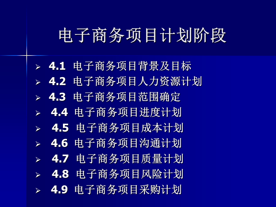 电子商务项目计划.ppt_第1页