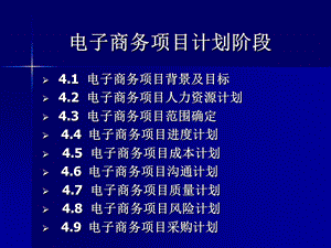 电子商务项目计划.ppt