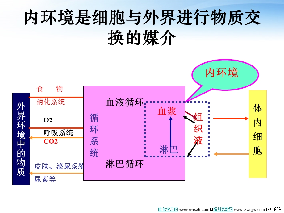 1.2内环境稳态的重要性.ppt_第2页