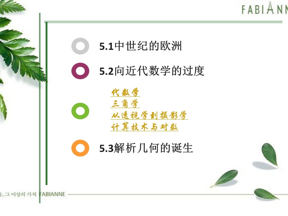 数学史概论近代数学的兴起.ppt_第2页