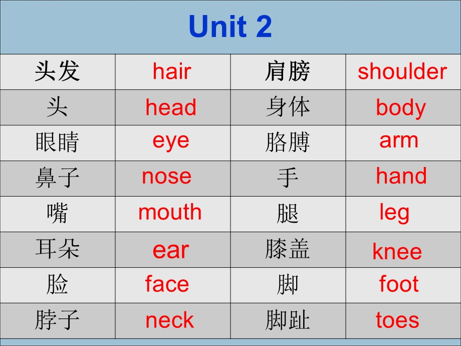 小学英语单词快乐英语一二册.ppt_第3页