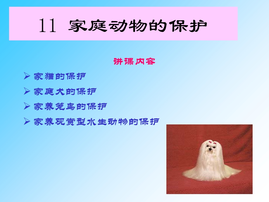 家庭动物的保护.ppt_第1页