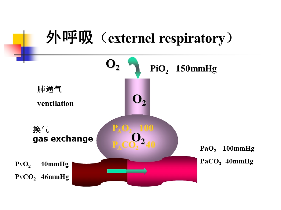 病理生理第16章-呼吸衰竭.ppt_第3页