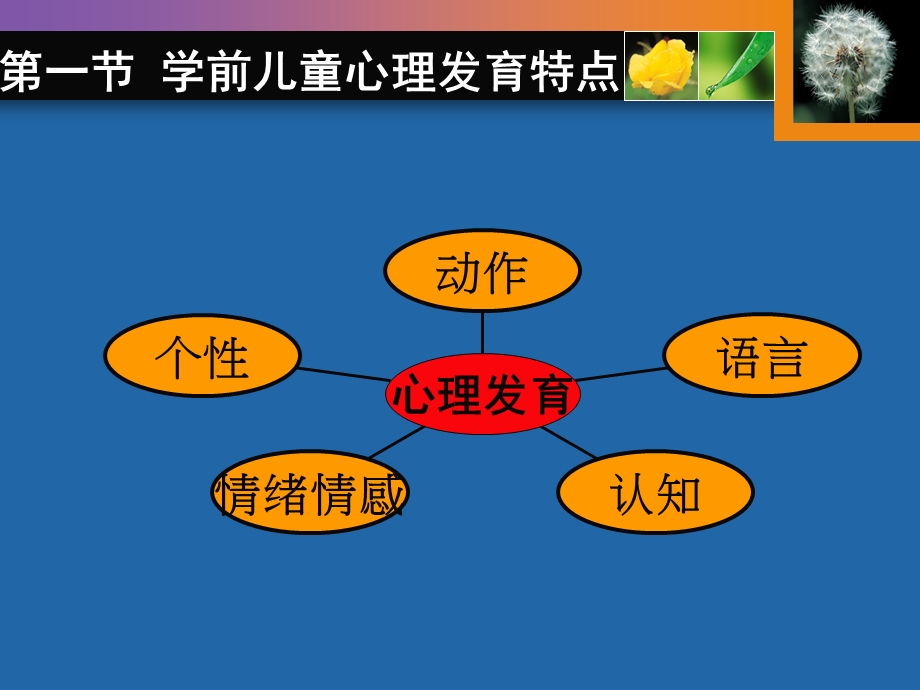 常见问题行为及心理疾患及其预防.ppt_第2页