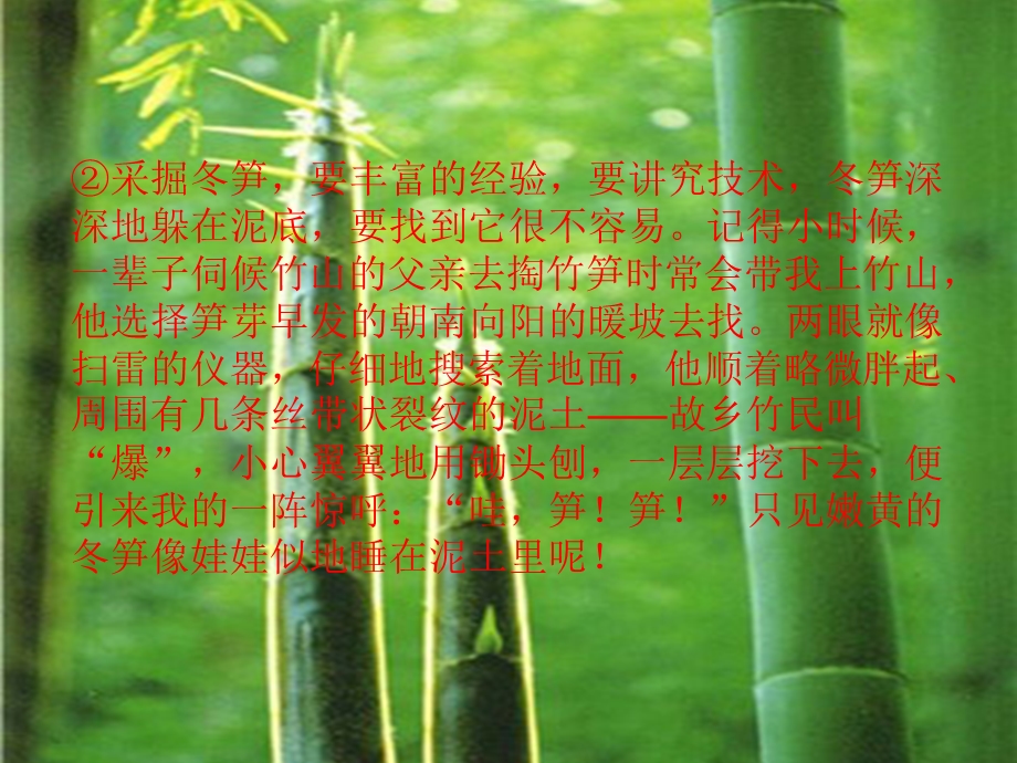 散文阅读4-家乡的竹林.ppt_第3页