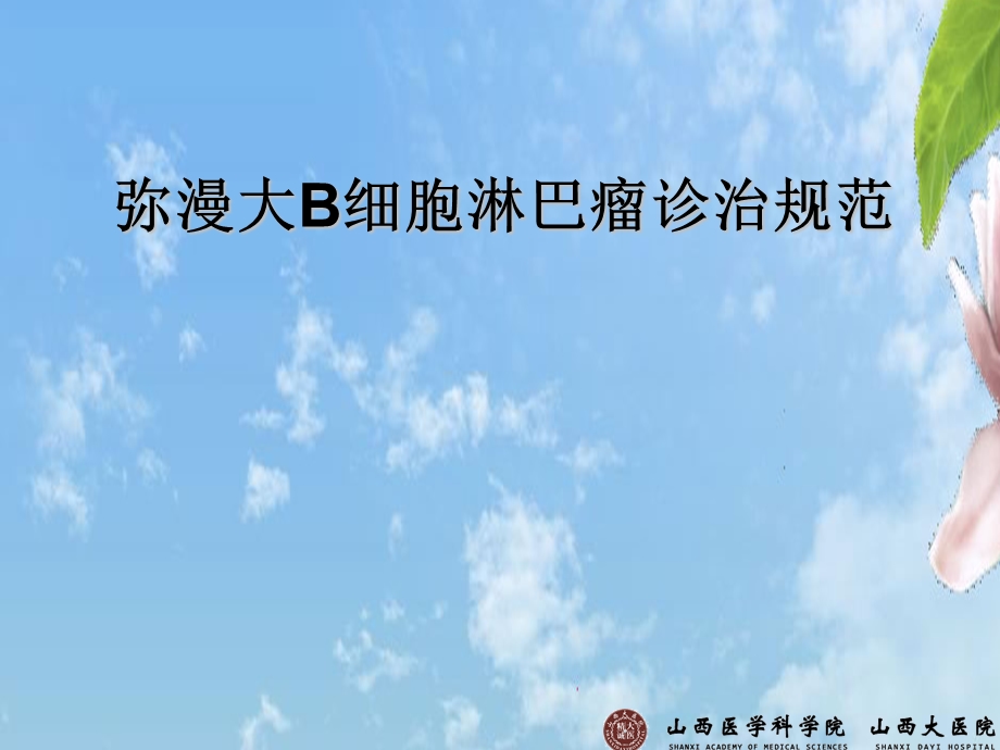 弥漫大B细胞淋巴瘤规范化治疗.ppt_第1页