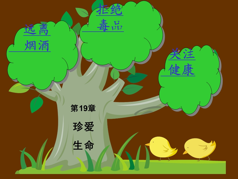 珍爱生命知识树(韦金铭).ppt_第1页