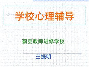 现代学校心理辅导.ppt