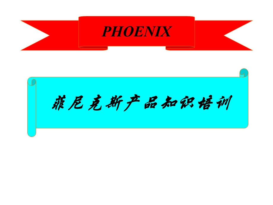 菲尼克斯产品知识培训.ppt_第1页