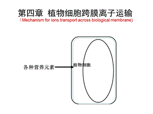 植物细胞跨膜离子运输.ppt