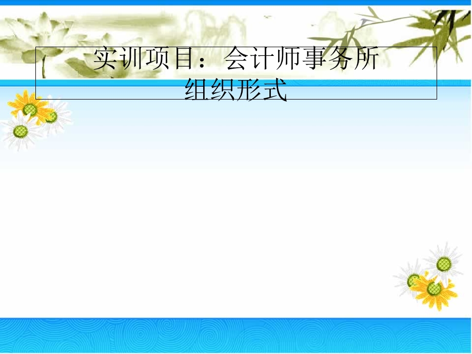 审计会计师事务所组织形式.ppt_第1页