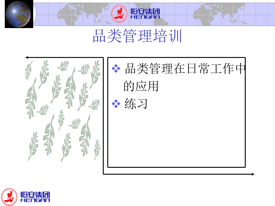 恒安集团品类管理课程概述.ppt_第3页