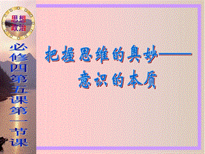 把握思维的奥妙—意识的本质.ppt