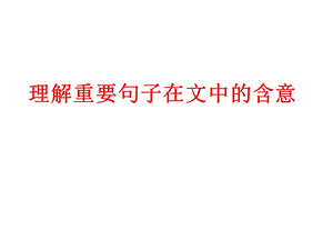 理解文中重要句子的含义课件.ppt