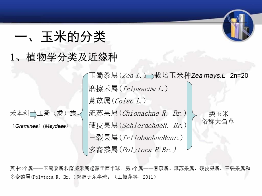 玉米的起源与进化.ppt_第3页