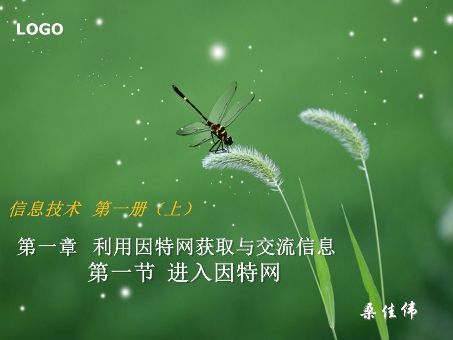 第一节进入因特网.ppt_第1页