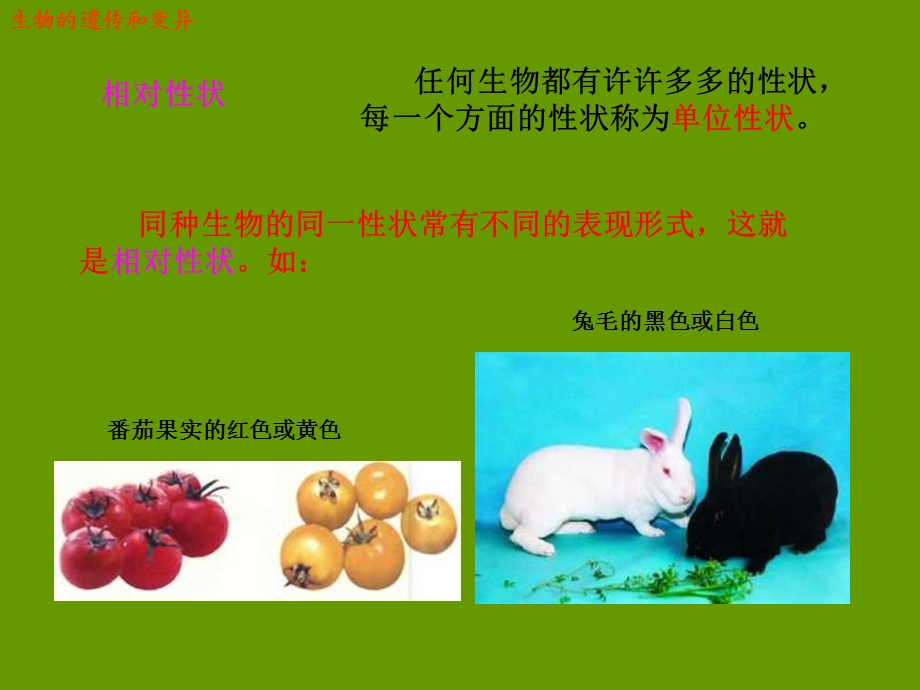 生物的遗传和变异.ppt_第3页