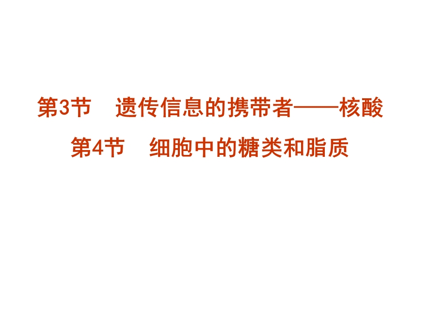 生物一轮复习核酸、糖类和脂质.ppt_第1页