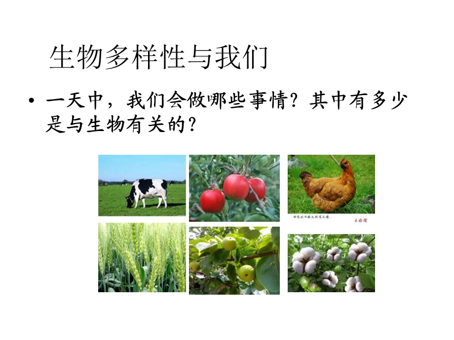 生物多样性的意义.ppt_第3页