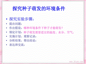 种子萌发的环境条件.ppt