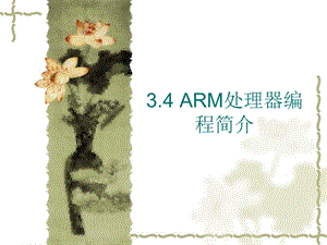 嵌入式系统教学课件：34arm处理器编程简介.ppt