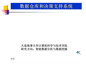 数据仓库和决策支持系统.ppt