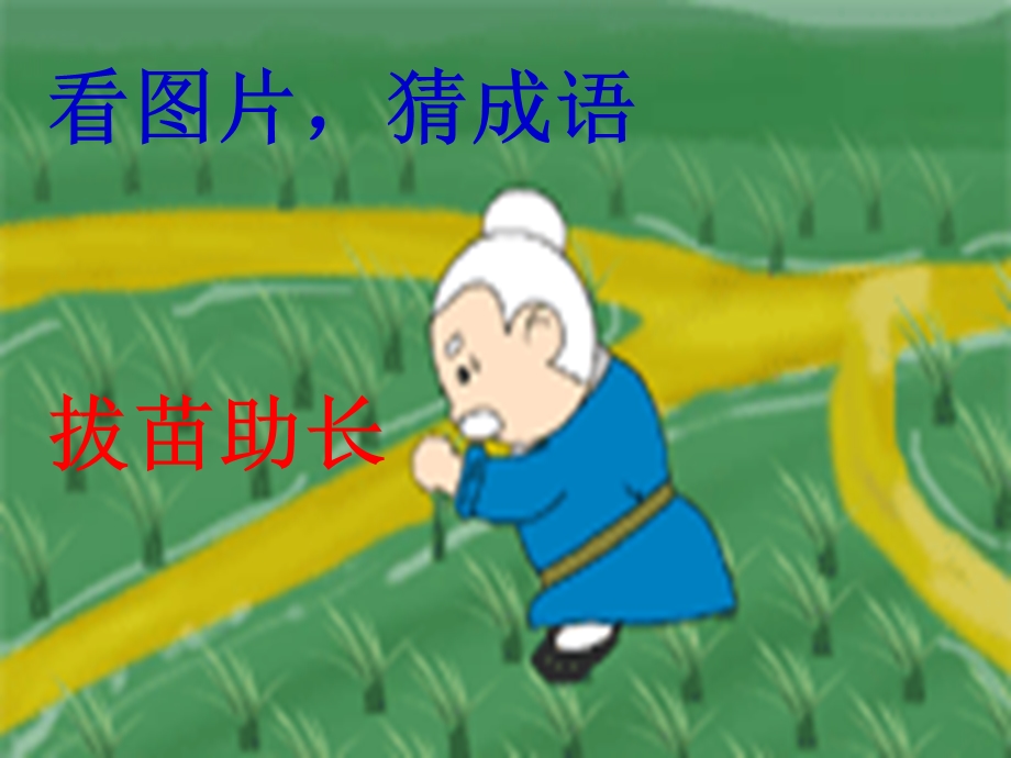 成语决战中考(公开课).ppt_第1页