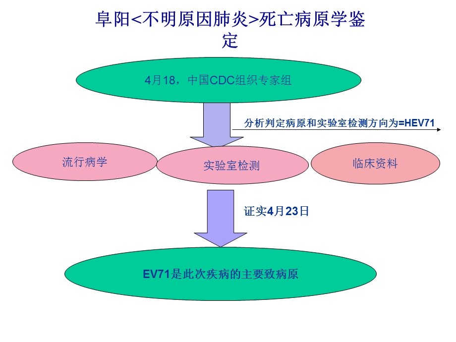 手足口病的病原学及其诊断.ppt_第3页