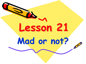 新概念英语第二册课件(Lesson21Madornot).ppt