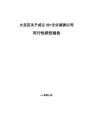 大足区关于成立5G+文化旅游公司可行性研究报告.docx