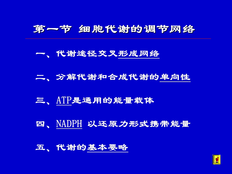 物质代谢的联系及其调节.ppt_第2页