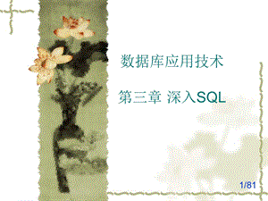 数据库应用技术教程第三章深入SQL.ppt