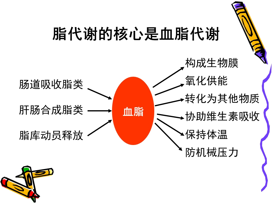 病理生理学课件脂代谢紊乱.ppt_第3页