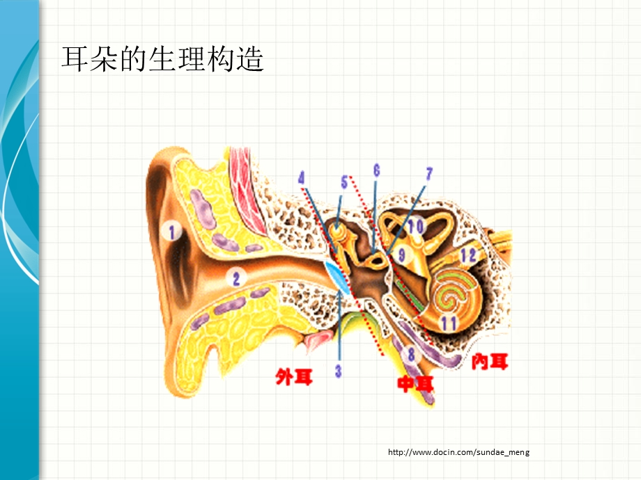 【课件】耳朵病理与听力障碍.ppt_第3页