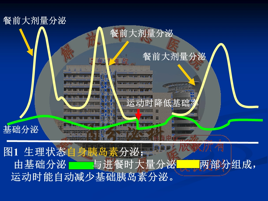 泵治疗的大剂量(马学毅).ppt_第3页