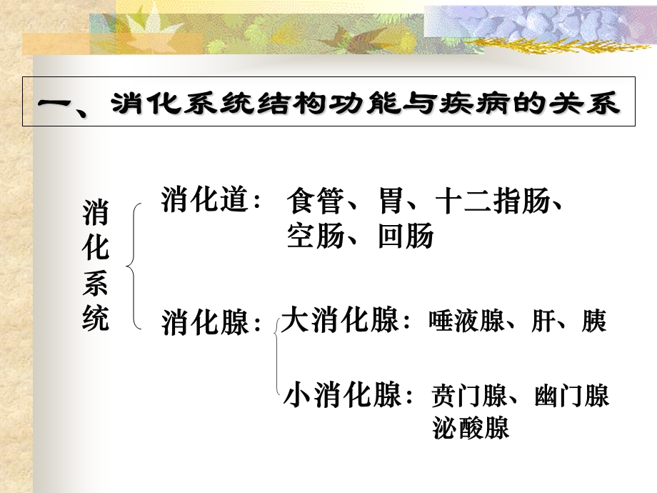 消化系统疾病病人的护理第一节概述.ppt_第3页