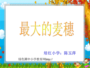 小学六年级下学期语文《最大的麦穗》PPT课件.ppt