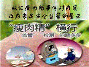 由瘦肉精事件看政府监管.ppt