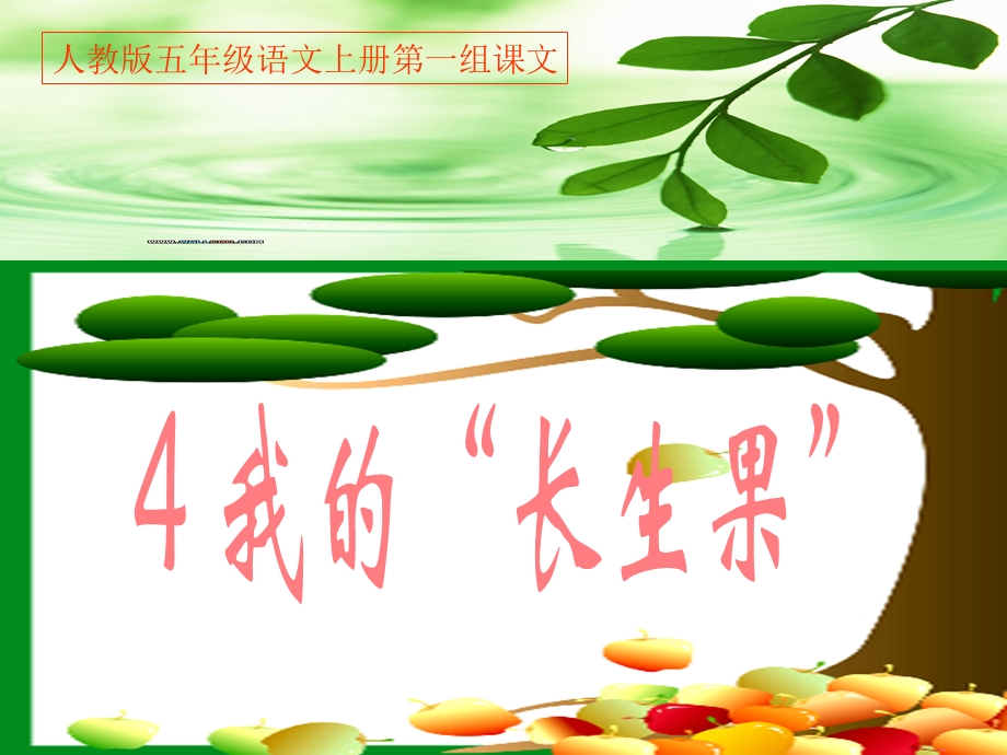 我的长生果上课用的.ppt_第2页