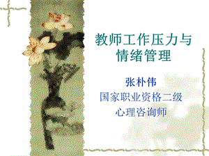 教师工作压力与情绪管理.ppt