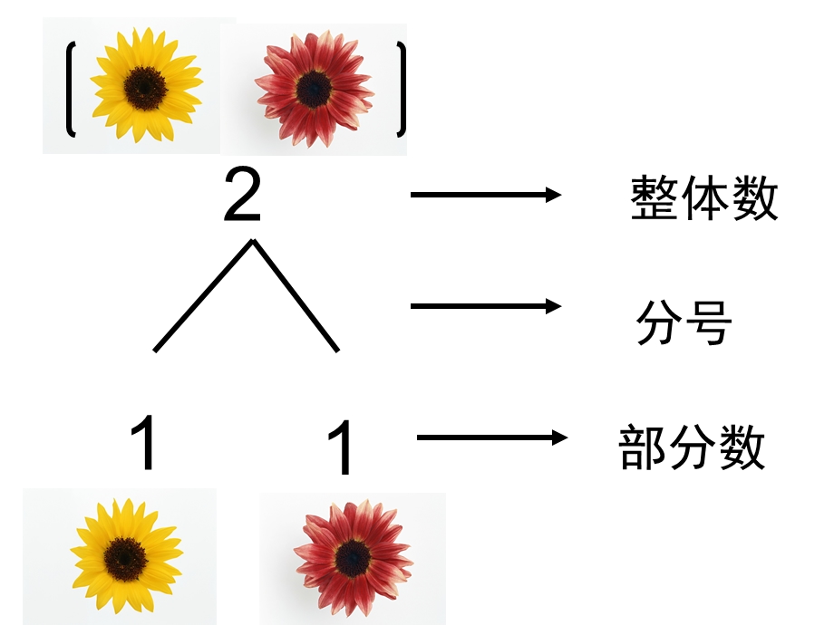 数学5以内数的组成和分解.ppt_第3页