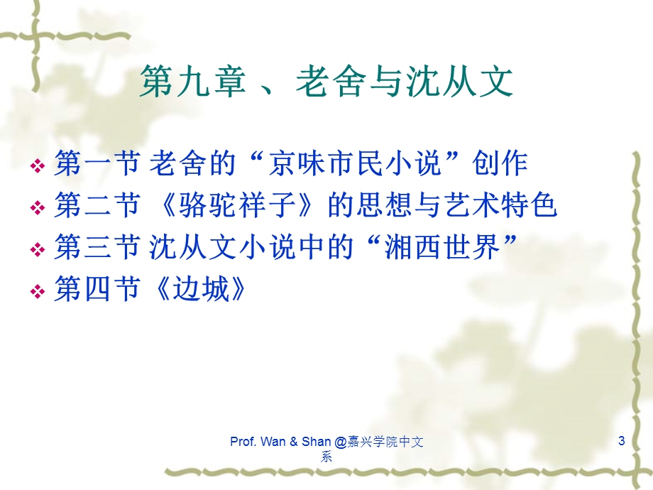 现当代文学课件第九章.ppt_第3页